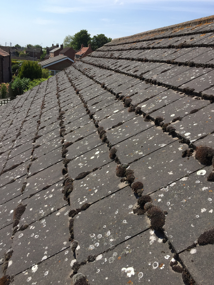 roof cleaning holbeach