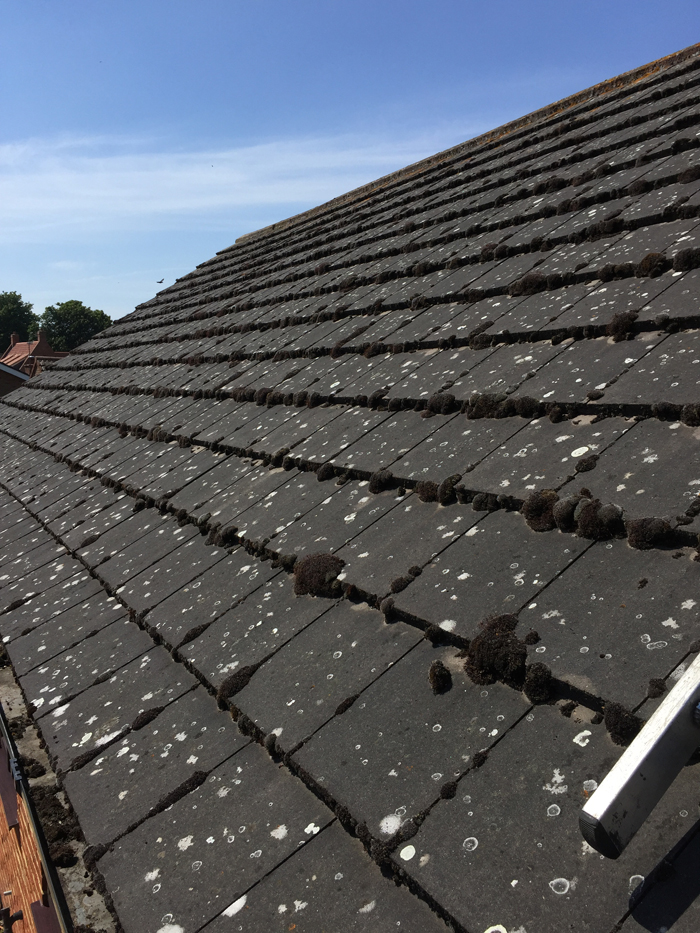 roof cleaning spalding