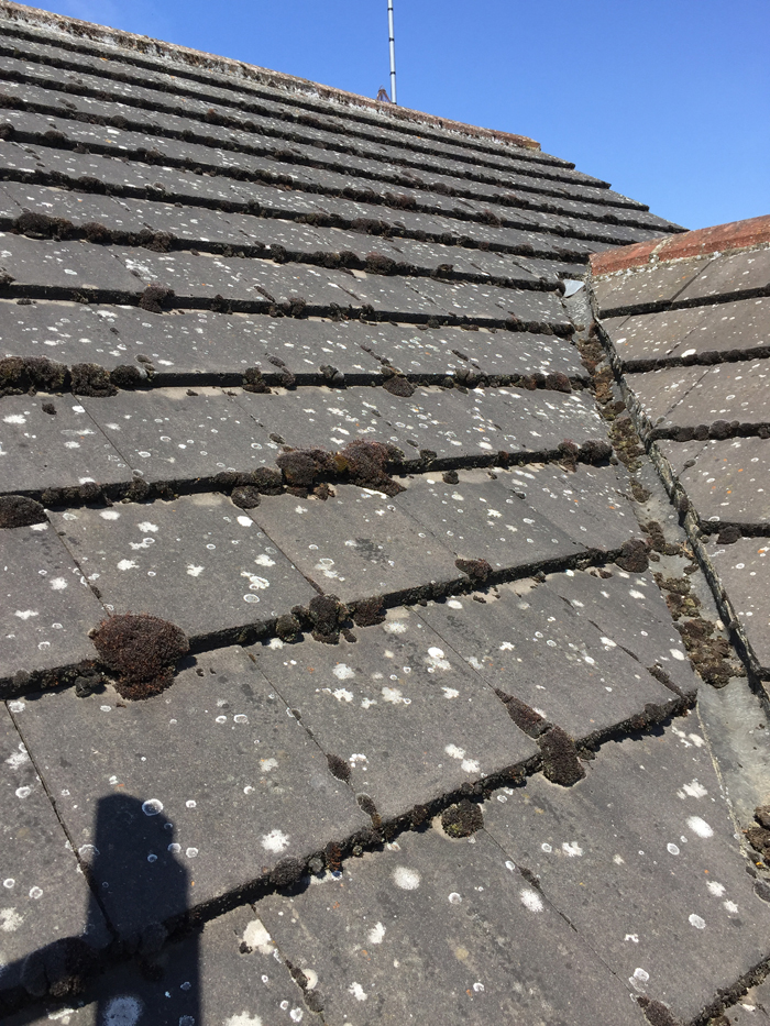 roof cleaning spalding