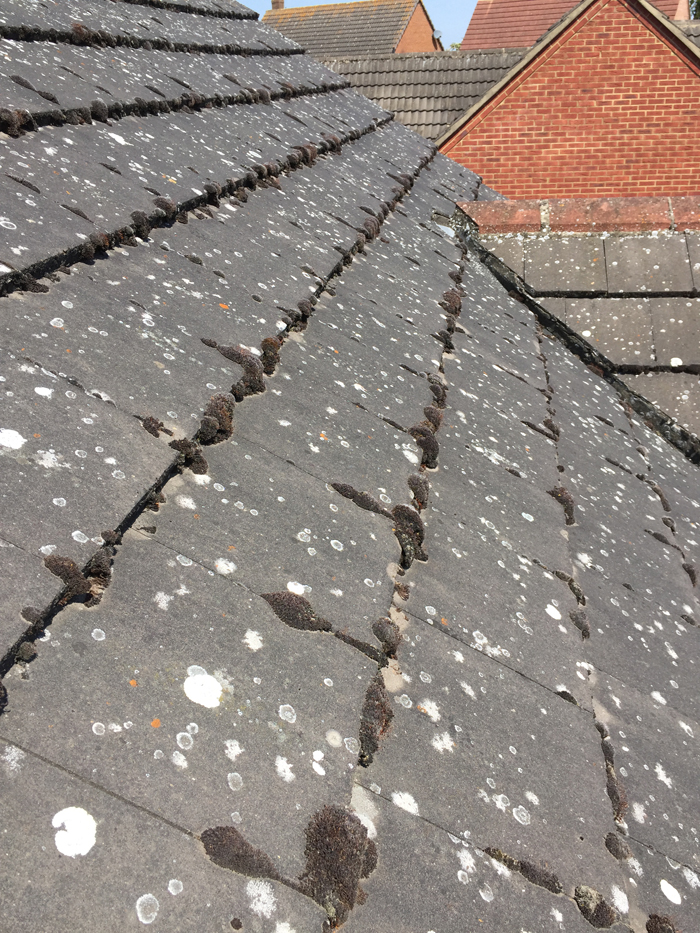 roof cleaning holbeach